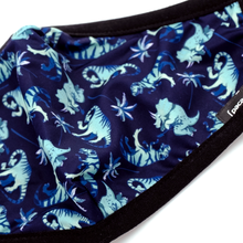 Load image into Gallery viewer, Designer Dinos Face Masks
